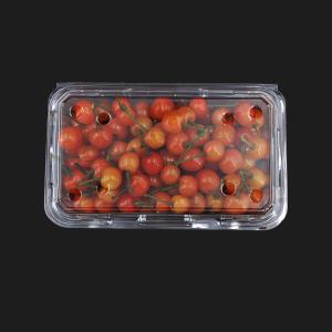 Quality No Leakage Disposable Plastic Boxes wholesale