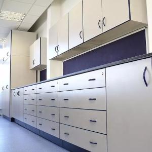 Quality 100KG Laboratory Wall Bench Waterproof Commercial Lab Furniture wholesale
