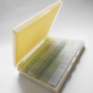 Quality Shockproof Gift Fixed Medical Research 100pcs Microbiology Prepared Slides wholesale