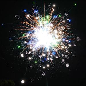Quality 1.4 Pro Cake Fireworks 36 Shots Pyrotechnics Chinese Factory Wholesale For Celebration New Year 2025 wholesale