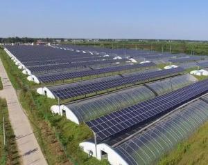 Quality Hydroponics and Soilless Cultivation Multi-Layer Greenhouse jx-SG-6 with Heat Storage wholesale