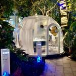 Party Glamping Bubble Tent PC Clear Dome House For Outdoor Garden