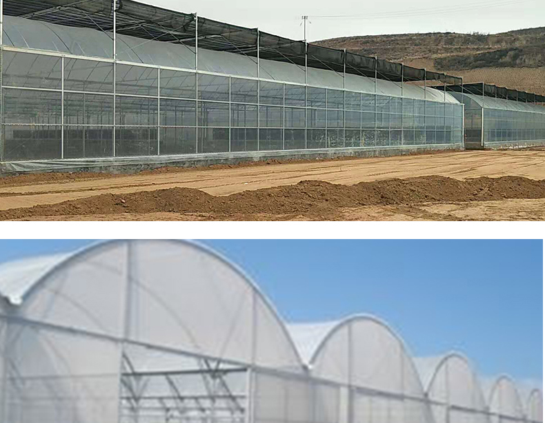 PO Film Double Layer Hydroponic Container for Superior Plant Growth Results