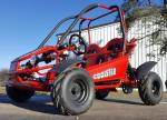 Seat Height 12.5" 125cc Oil Tank 3.1L Go Kart Buggy