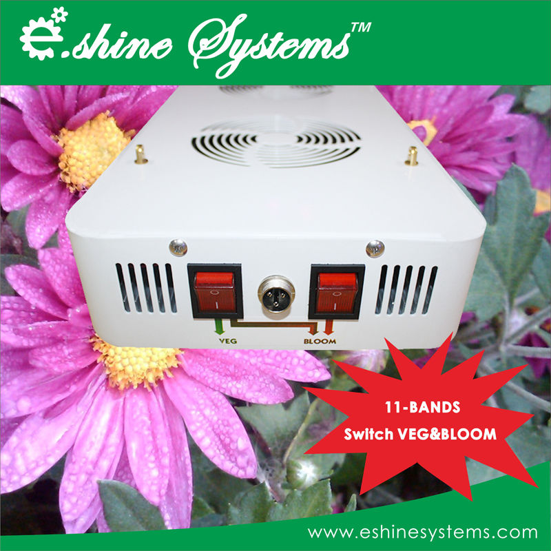 300x3W full spectrum 11 attractive led grow light for greenhouses hydroponics plant tissue