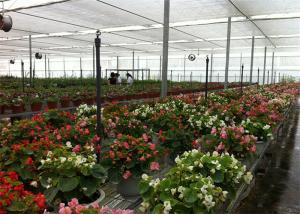 Quality 8m*4m Dimenison Garden Glass Greenhouse Easily Assembled Highly Durable wholesale