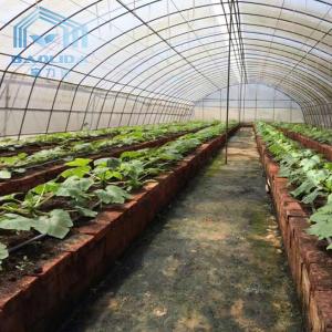 Quality Commercial Plastic Film Galvanized Transparent Tunnel Plastic Greenhouse wholesale