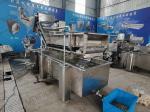 850 KG Capacity Leaf Vegetable Bubble Washing Line for Manufacturing Plant