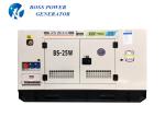 High Performance Electric Diesel Generator Energy Saving With Shock Absorber