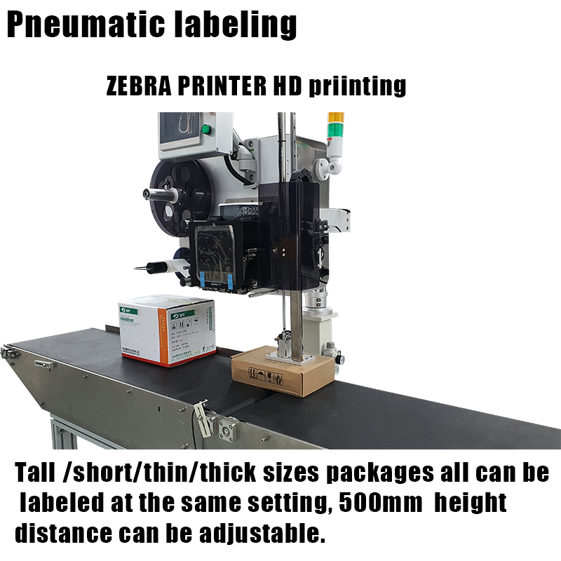 220V Voltage Fruit Tag Barcode Printing Sticker Labeling Machine for Carton Packaging