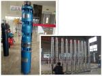 Easy Installation Submersible Borehole Pumps Energy Saving For Water Drainage