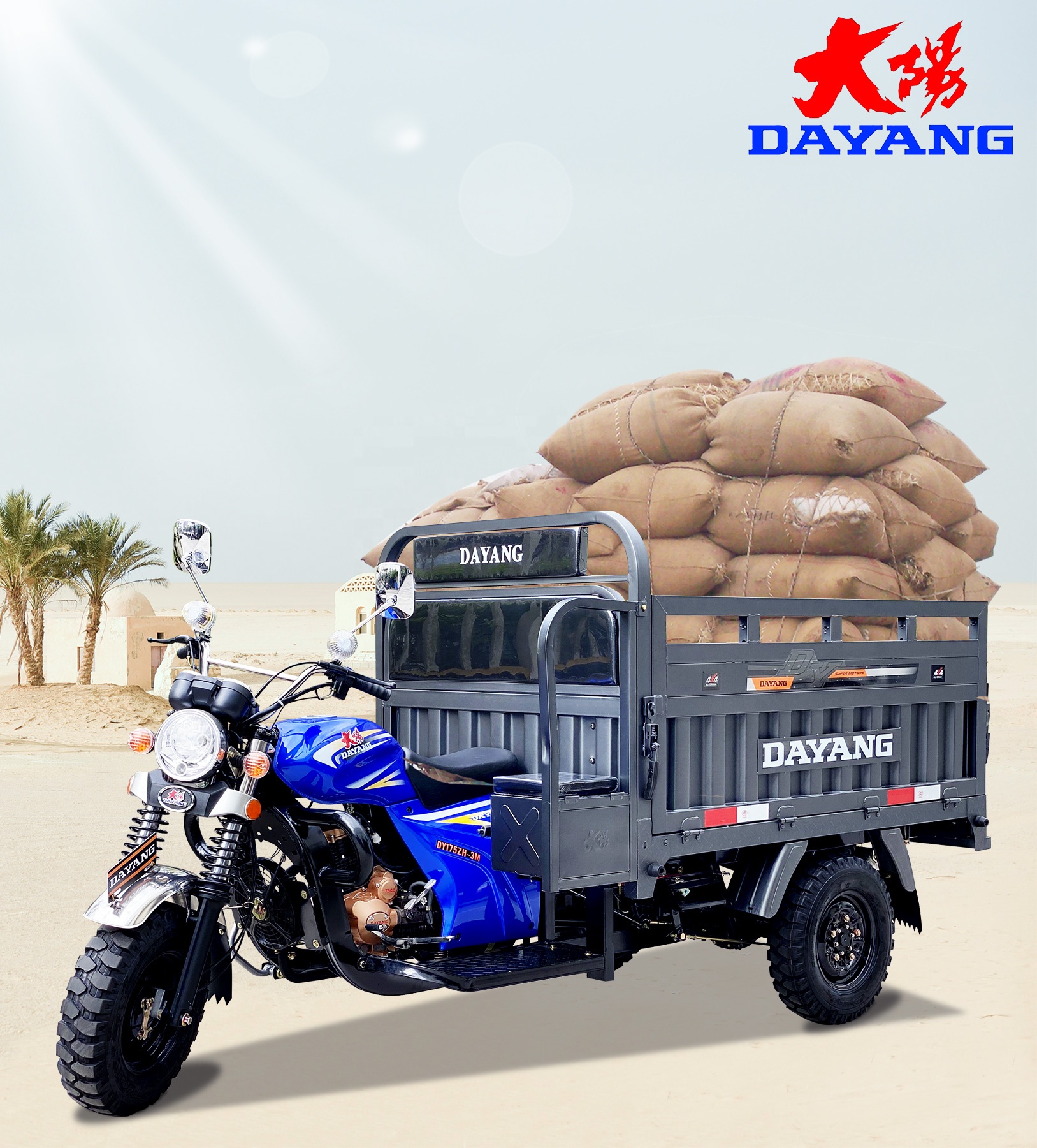 Electric Tricycle Motorcycle Grade Ability ≥25° Open Body Type Heavy Load Philippines