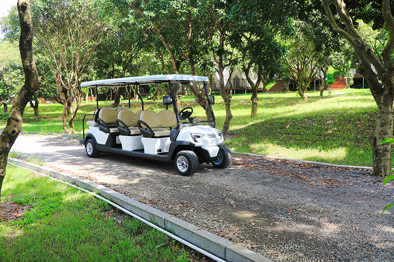 Excar 8 Seats Special Body Design Sightseeing Car With Flip-Flap Seat