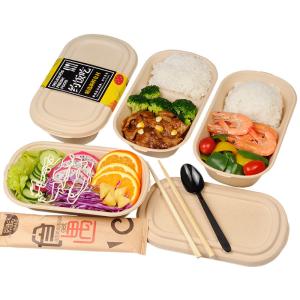 Quality 100% Compostable Food Container Sugarcane Lunch Box Bamboo Storage Boxes &amp; Bins Eco-Friendly Multifunction wholesale