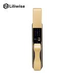 Stainless Automatic Door Lock Biometric Recognition Semiconductor OLED Display