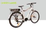 Electric Powered Mid Motor Electric Mountain Bike 10.4Ah Shimano RD-TX55