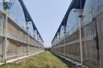Galvanized Steel Frame PE Film Greenhouse Agriculture Multi Span Tunnel