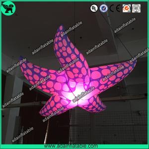 Quality New Brand Event Decoration Lighting Blue Inflatable Starfish/Ocean Event Decoration wholesale