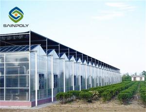 Quality Commerical Arch Roof 8m 12m PC Sheet Greenhouse wholesale
