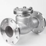 Straight Through Type H44W 304/316 Stainless Steel Swing Flange Check Valve One