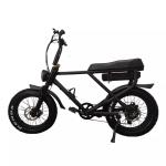 Fat Tyre Electric Bike Snow Beach Fast Speed Customized Electric Bicycle 2 Seats