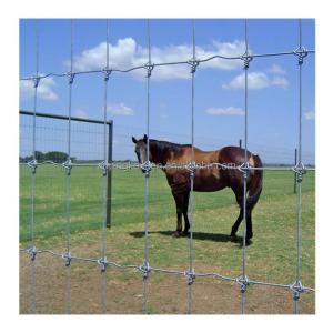 Quality Farmland Fence Galvanized Fixed Knot Field Wire Hinge Fencing for Rural Panel Fence wholesale
