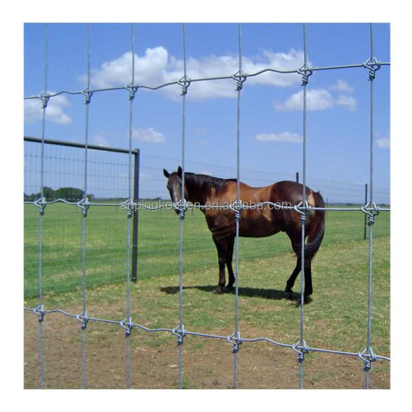 Farmland Fence Galvanized Fixed Knot Field Wire Hinge Fencing for Rural Panel