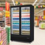 -22C Commercial upright dynamic cooling double 2 glass door freezer showcase ice