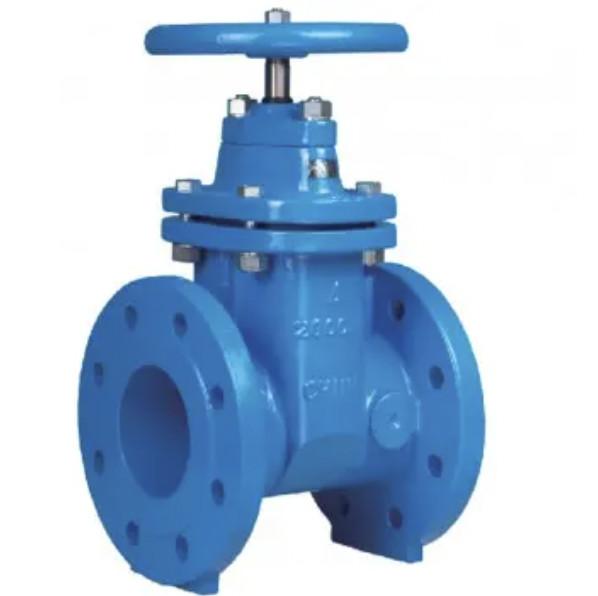 Cheap DN40-DN600 Resilient Seated Gate Valve RSGV Valve For Water Treatment for sale