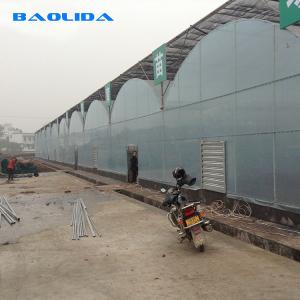 Quality 0.2mm film Standard Multi Span Greenhouse for Vegetable Fruits Flowers wholesale