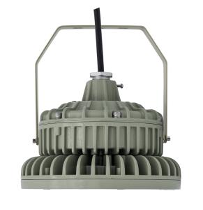 Quality ATEX Approved Explosion Proof LED Lighting WF2 5500K-6500K wholesale