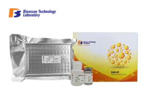 Quality Customer Elisa Assay Kit For Analyzing Rat Bone Morphogenetic Protein 4 wholesale