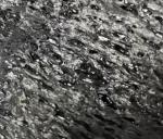 Graphite Petroleum Coke GPC For Steel Making Foundry Industry Hot Sale