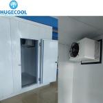 220V/380V/440V Walk-in Freezer Cold Storage Room For Meat And Fruit In