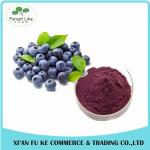 Hot Selling Blueberry Extract 99% Pterostilbene Powder CAS NO:537-42-8