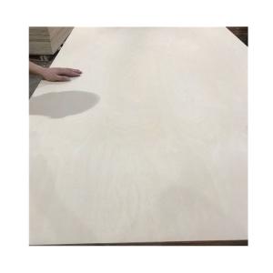 Quality Full Poplar Core 1220*2440mm E0 CARB Laminate Faced Birch Plywood wholesale