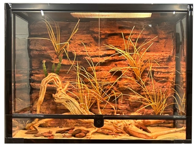 Customize Reptile Enclosure Background Fire Retardant Reptile Cage Background
