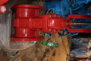 Quality (ANSI) Cast Iron Gate Valve Flanged Ends wholesale