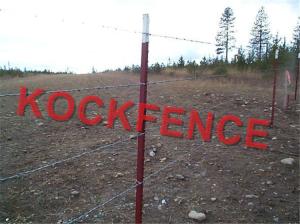 Quality Customized Steel Star Picket , Hot Dipped Galvanized Y Fence Post wholesale