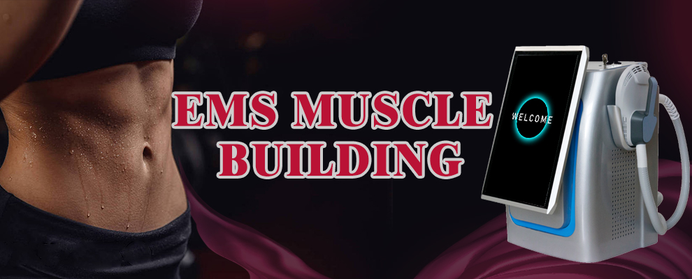 600w 5 Handles EMS Sculpting Machine For Neo RF 14 Tesla Bodi Sculpting Body Slimming
