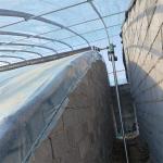 PE Film Passive Solar Powered Greenhouse With Winter Heating System