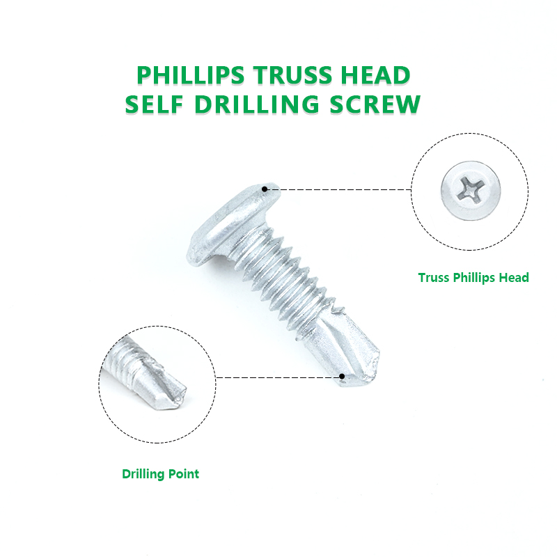 Steel Structure Phillips Truss Head Stainless Steel Self Tapping Screws Metal Tek Screw