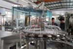 HDPE Bottle Yogurt Sauce Filling And Hot Foil Sealing Machine Electric Driven