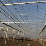 Single Layer Film Cover Greenhouse with Excellent Insulation and Pressure