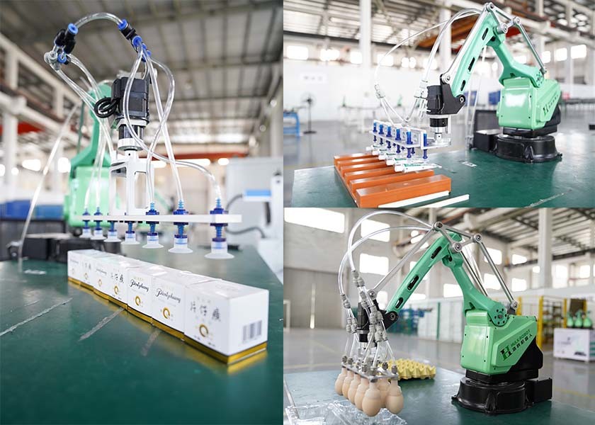 Industrial Transport 4 Axis Robotic Arm For Production Line