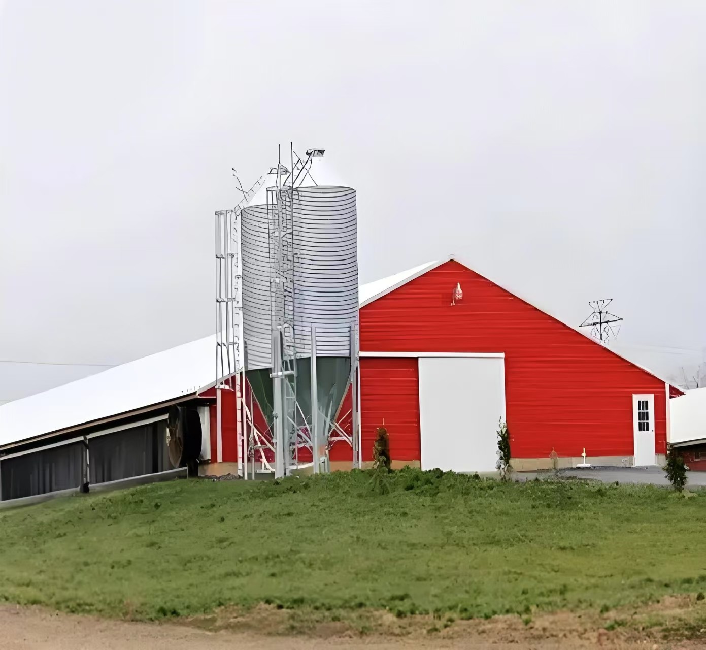 Automatic Poultry Broiler House Steel Structure Chicken Poultry Farm Equipment