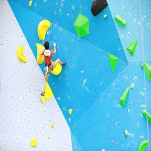 Quality GRP--FIBERGLASS REINFORCED RESIN Adventure Bouldering Rock Climbing Holds for Outdoor wholesale