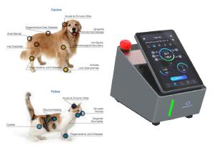 Quality CE Veterinary Laser Therapy Machine Painless Class Four 810nm wholesale