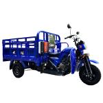 1000W High Power 3 Wheel Motorcycle 150cc Moto Cargo Tricycle Professional Gas