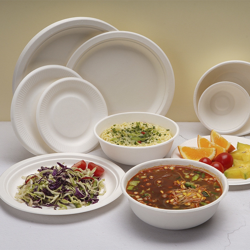 Natural Bagasse Disposable Plates Sugarcane Fibre Round Plate 6 7 8 9 10 Inch